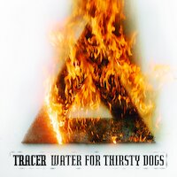 Tracer - Water for Thirsty Dogs