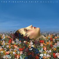 The Pineapple Thief - Simple As That