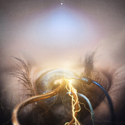The Agonist - Follow The Crossed Line