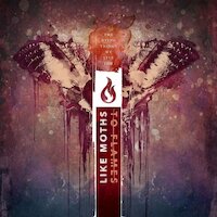 Like Moths To Flames - The Art Of Losing