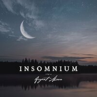 Insomnium - The Wanderer