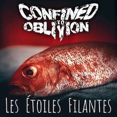 Confined To Oblivion - Les Étoiles Filantes [Les Cowboys Fringants cover]