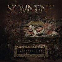 Somnent - Severed Ties