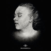 Splendidula - Post Mortem