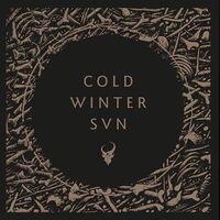 Demon Hunter - Cold Winter Sun