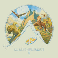 Scale The Summit - Blue Sun