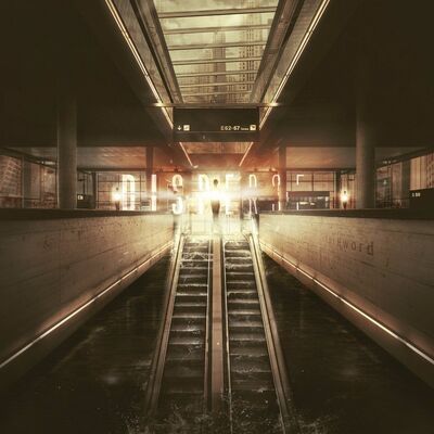 Disperse - Stay