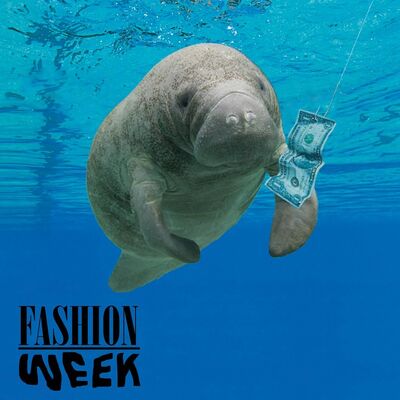 Fashion Week - Chorusace