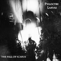 Psilocybe Larvae - The Fall Of Icarus