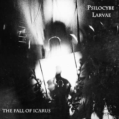 Psilocybe Larvae - The Fall Of Icarus