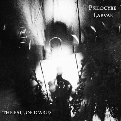 Psilocybe Larvae - The Fall Of Icarus