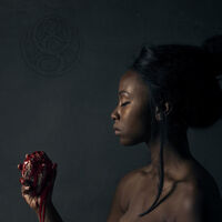 Oceans Of Slumber - The Banished Heart