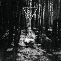 Liferuiner - Fissure