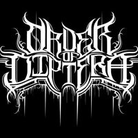 Order Of Diptera - Ordo Est Vermibus