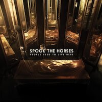 Spook The Horses - Crude Shrines