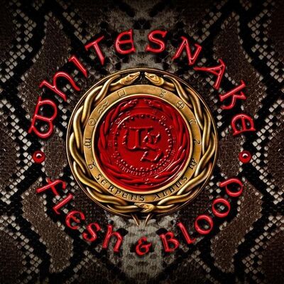 Whitesnake - Hey You... You Make Me Rock