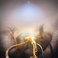 The Agonist - Eye Of Providence