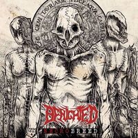 Benighted - Forgive Me Father