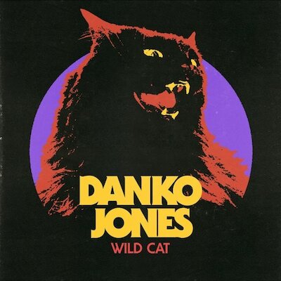 Danko Jones - My Little Rnr