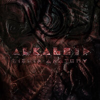 Alkaloid - Chaos Theory And Practice