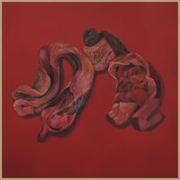 Narcosatanicos - Body Cults