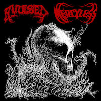 Avulsed / Mercyless - Split 7"