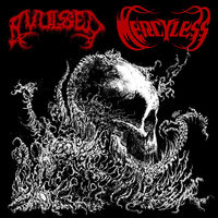 Avulsed / Mercyless - Split 7"