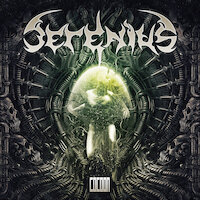 Serenius - Identity