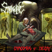 Strangulate - Catacombs of Decay