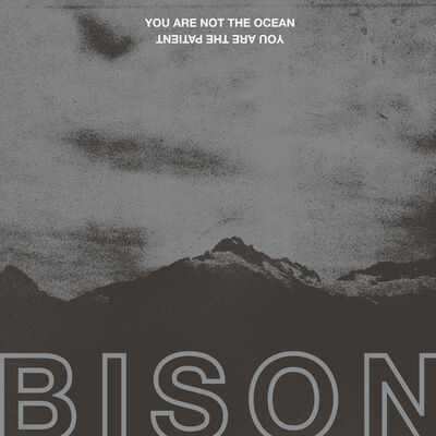 Bison - Anti War