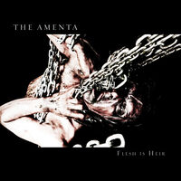 The Amenta  - Teeth