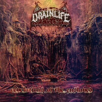 Drain Life - Revelations of the Enslaved