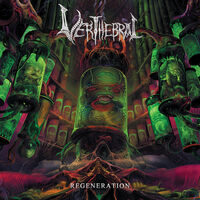 Verthebral - Regeneration