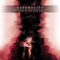 Nephrolith - Moth