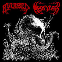 Avulsed - Hidden Perversions