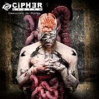 Communicate The Storms video Cipher System online
