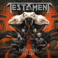 Testament - Stronghold [360 graden]