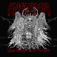 Anatomia - Dead Bodies In The Morgue