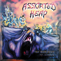 Assorted Heap - The Experience of Horror