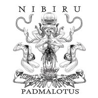 Nibiru - Padmalotus