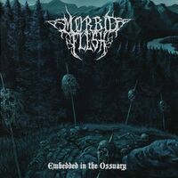 Morbid Flesh - Embedded In The Ossuary