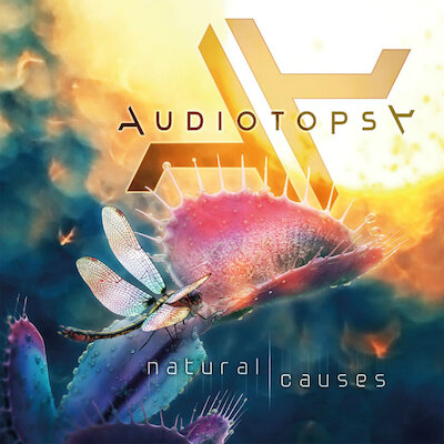 Audiotopsy - Lylab