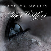 Tweede album The 11th Hour