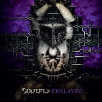 Soulfly post nieuwe video