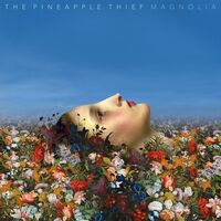 The Pineapple Thief - Simple As That