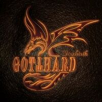 Eerste nieuwe Gotthard track van officiele video voorzien