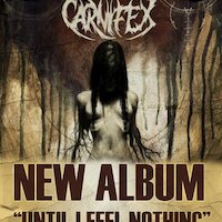 Carnifex luister video Dead But Dreaming