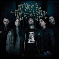 Insane Therapy - f*ck You All