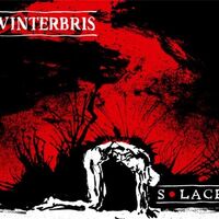 Vinterbris - Gazing At A Fallen Sky