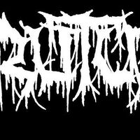 Brutus W.O.A. 2010 video